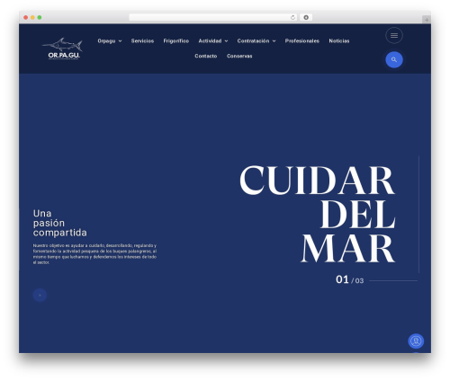 Wp hummingbird WordPress plugin - orpagu.com
