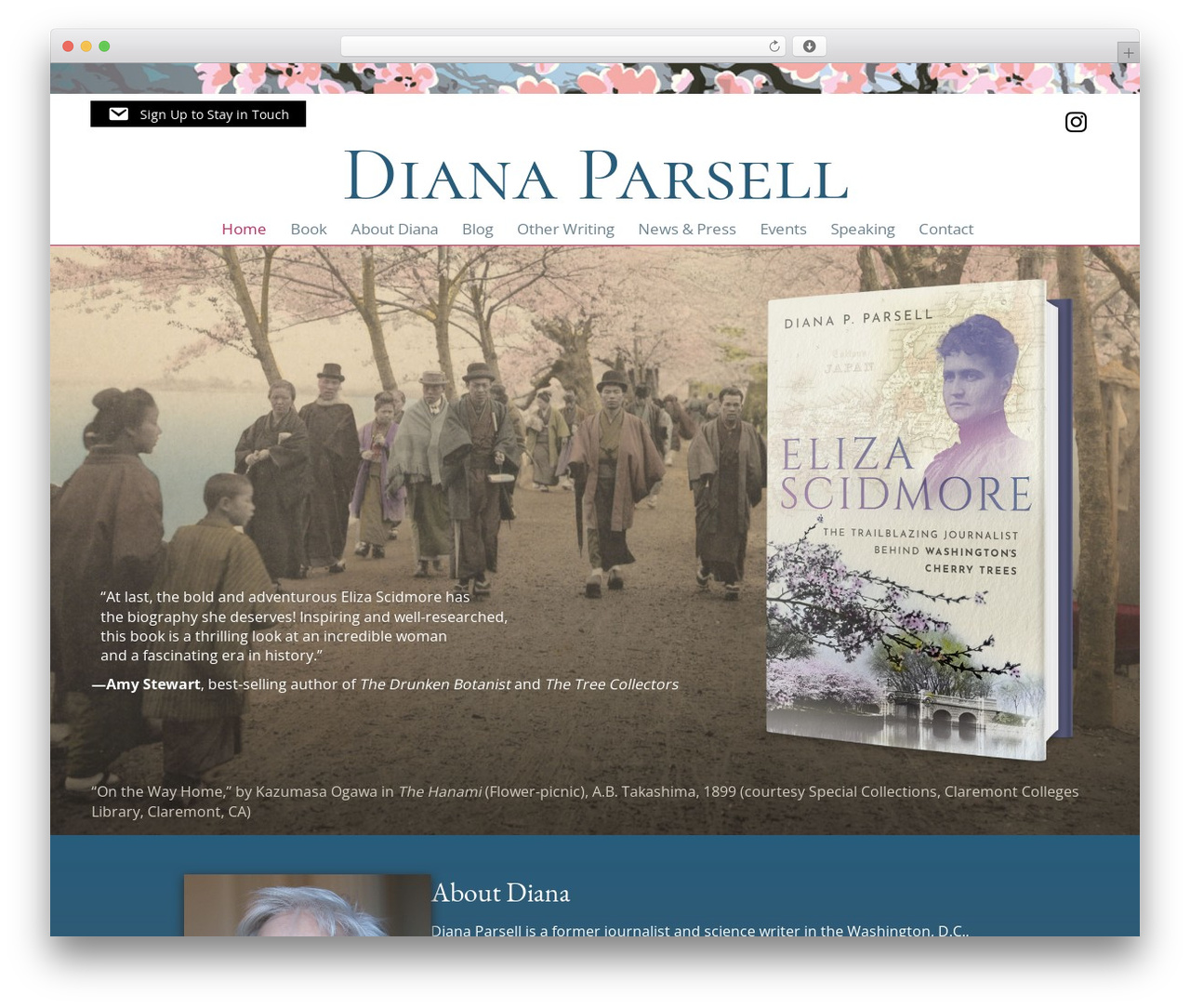 Beaver Builder Theme WordPress theme - dianaparsell.com