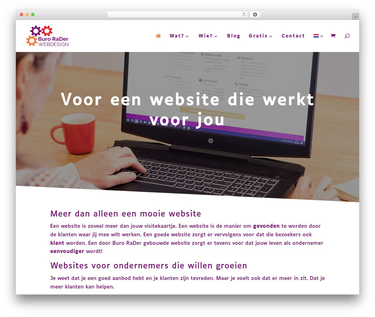 Divi theme WordPress - burorader.com