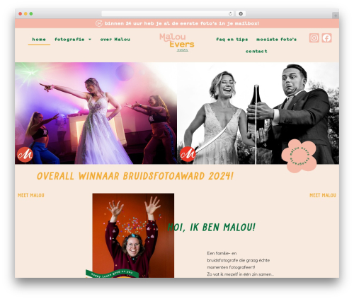 Inavii social feed for elementor WordPress plugin - malouevers.nl