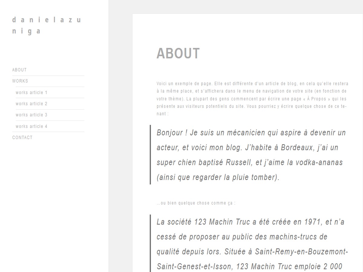 Nina theme theme WordPress by Votre nom