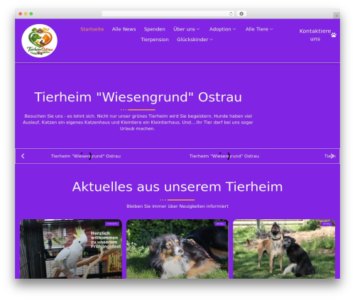 Theme WordPress Hello Elementor - tierheim-ostrau.de