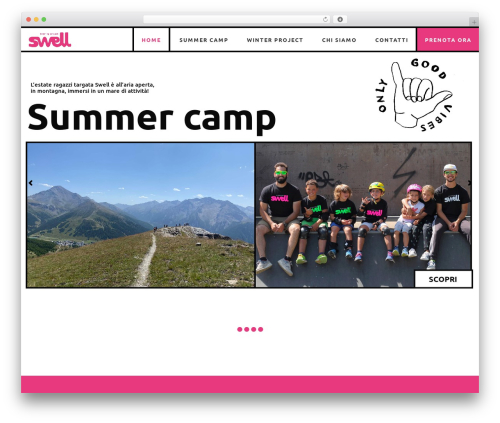 Prowess core WordPress plugin - swelltrainingproject.com