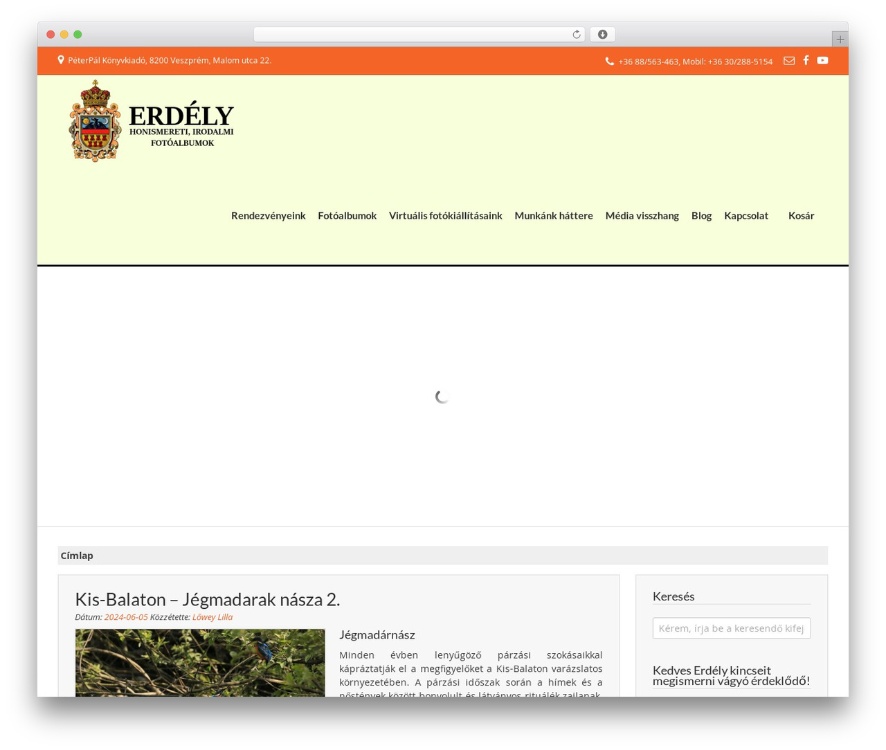 WordPress theme FreeStore - erdelyalbum.hu