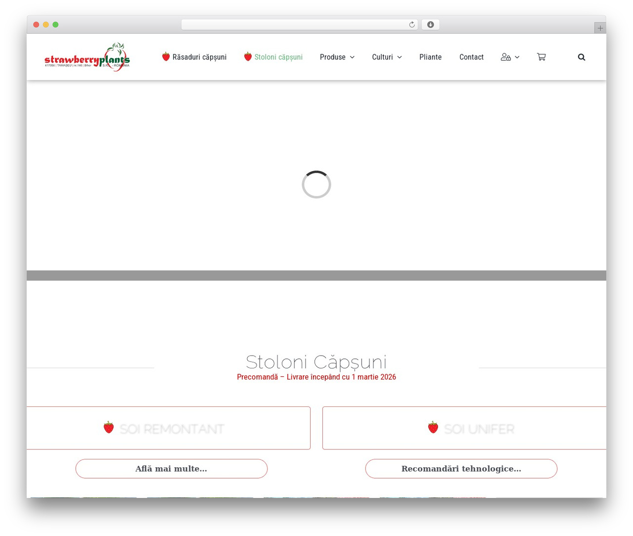 Avada Child WordPress theme - capsuni.eu