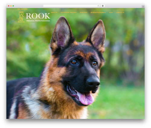 Hello Elementor theme WordPress - rookprotectiondogs.com