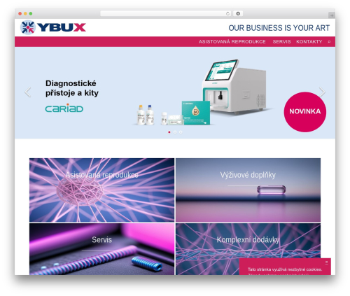 Dashboard To-Do List (dashboard-to-do-list) free WordPress plugin - ybux.eu