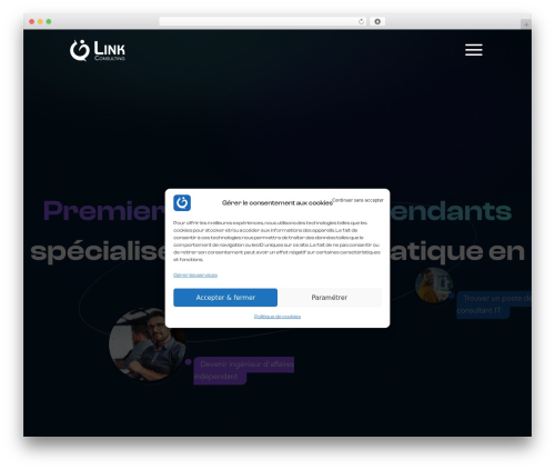 PURE Custom Theme WordPress theme design - link-consulting.fr