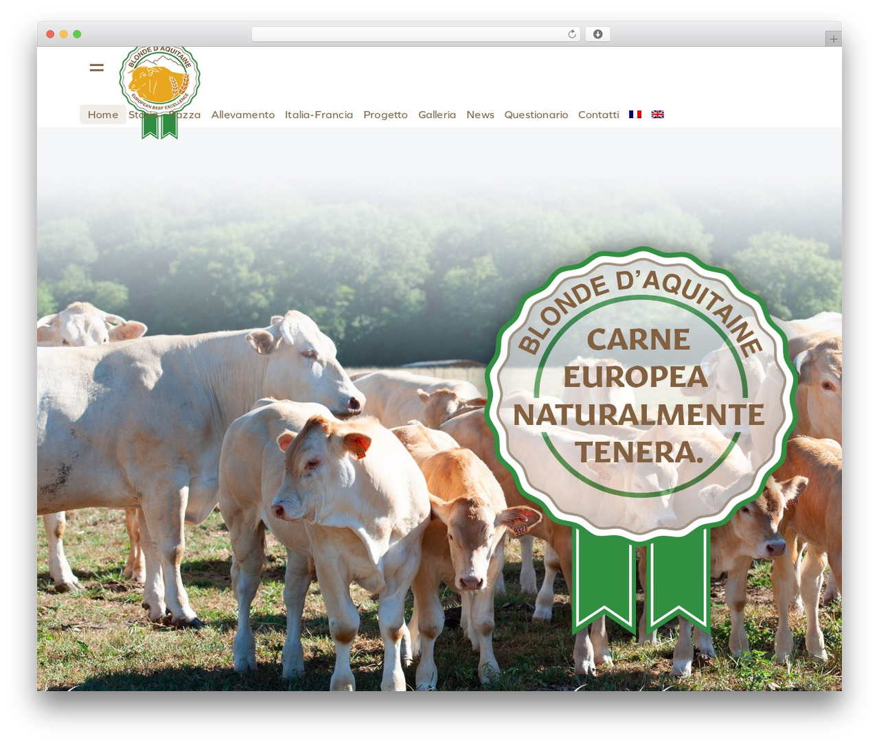 Theme WordPress Ottro - blonde-aquitaine.com Theme WordPress Ottro - blonde-aquitaine.com