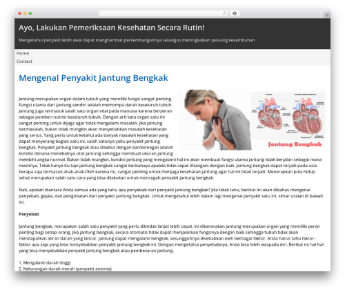 Theme WordPress Simple Grey - maineosa.org