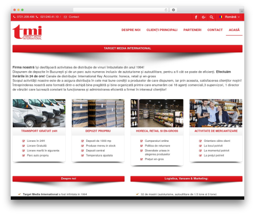 Envision core WordPress plugin - targetmediaint.ro