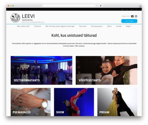 WordPress theme Brandweb - leevi.ee