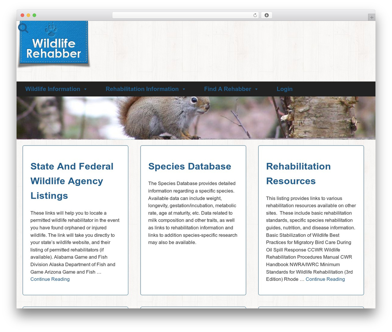 WordPress theme Definity - wildliferehabber.com