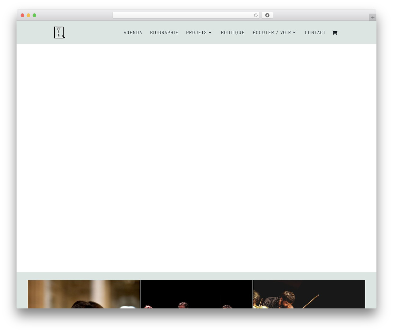 WordPress theme Divi - quatuorbela.com
