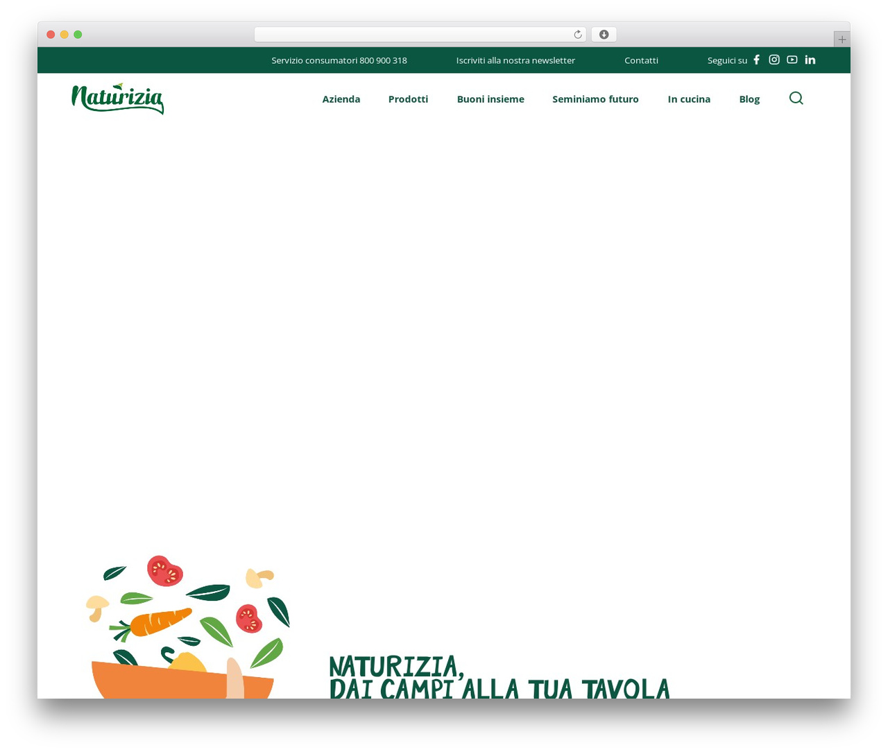 I01TimberTheme theme WordPress - naturizia.it
