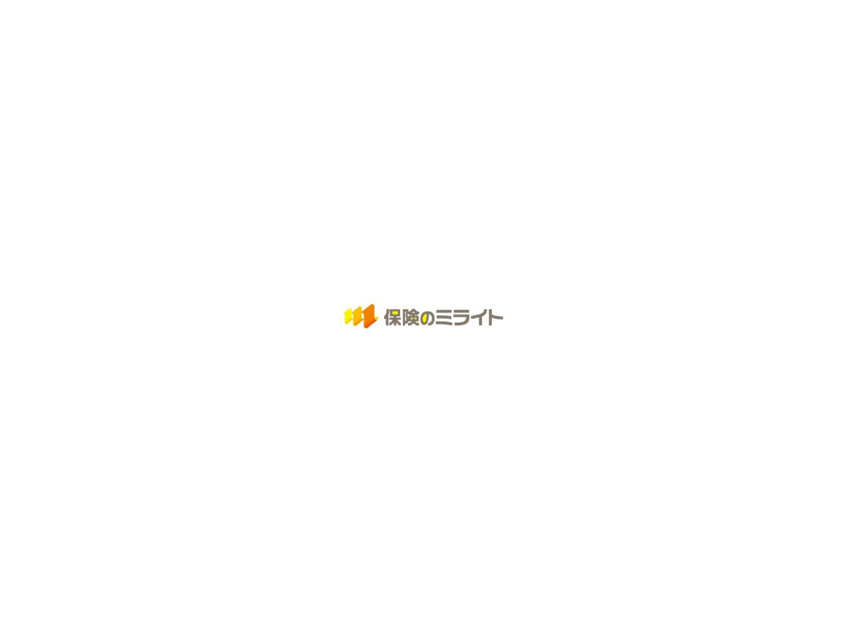 Theme WordPress ミライト by HOMELY