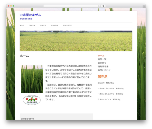 Tiny Framework free WordPress theme - tamazen.net