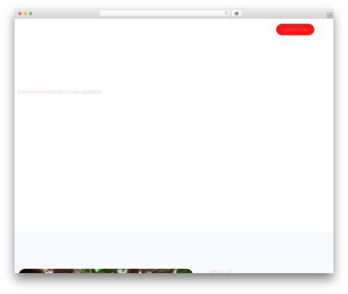 WP Fundraising Donation and Crowdfunding Platform (wp-fundraising-donation) free WordPress plugin - thechrismbulutrust.com