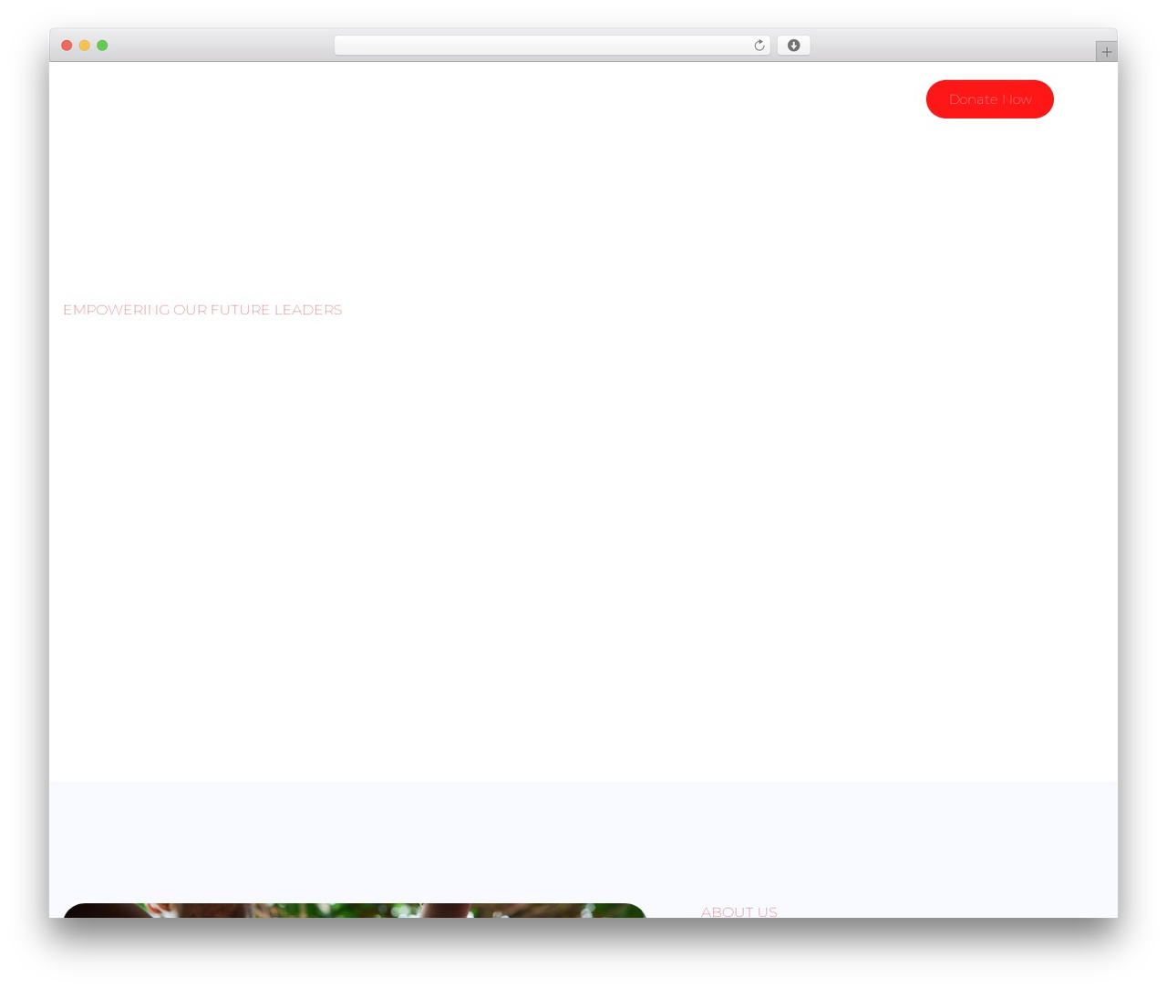 WordPress theme Hello Elementor - thechrismbulutrust.com