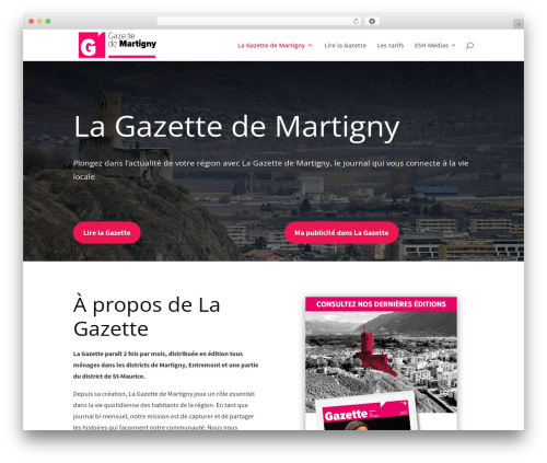 Web stat WordPress plugin - lagazette.ch