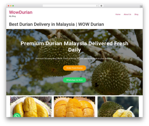 Amin chat button WordPress plugin - wowdurian.com