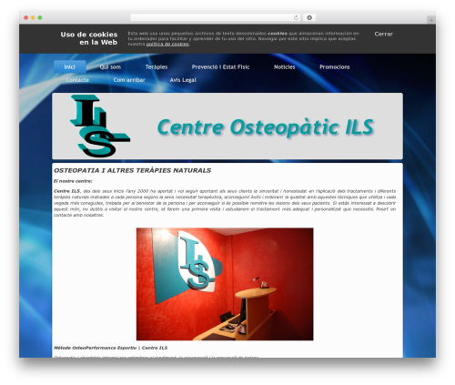 ILS WordPress theme - centre-ils.com