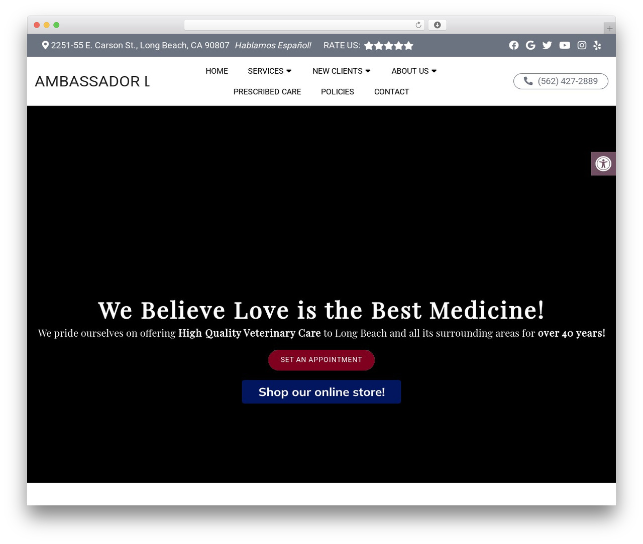 Parent Theme premium WordPress theme - ambassadorvet.com Parent Theme premium WordPress theme - ambassadorvet.com