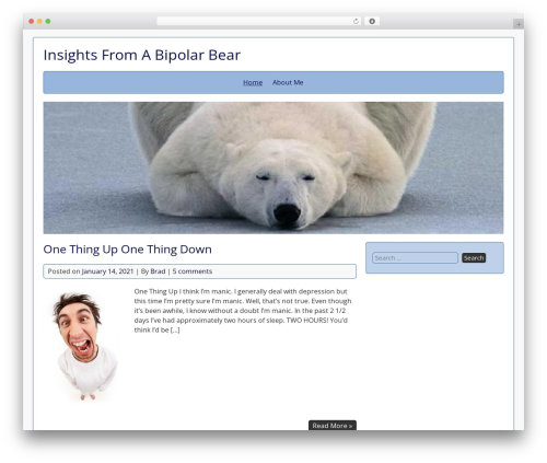 Shipyard theme WordPress - insightsbipolarbear.com