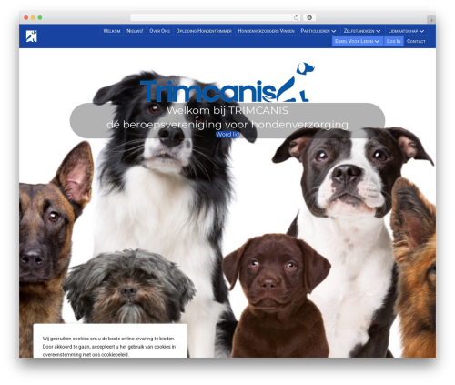 Ump extended shortcodes WordPress plugin - trimcanis.be