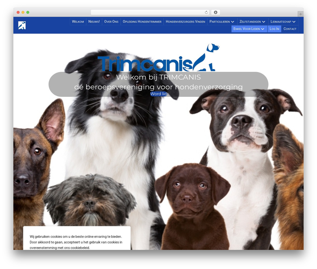 WordPress theme Beaver Builder Theme - trimcanis.be WordPress theme Beaver Builder Theme - trimcanis.be