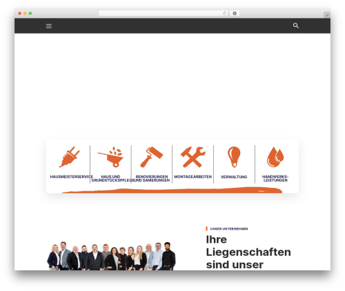 Cleenday core WordPress plugin - solutionsfs.de