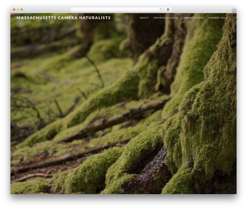 WordPress theme Genesis - masscamnats.org