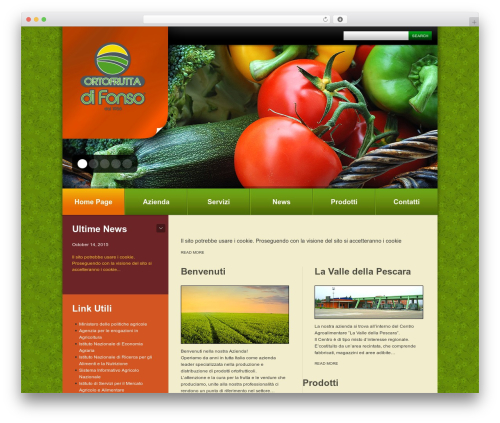Sendit WP Newsletter (sendit) free WordPress plugin - ortofruttadifonso.it
