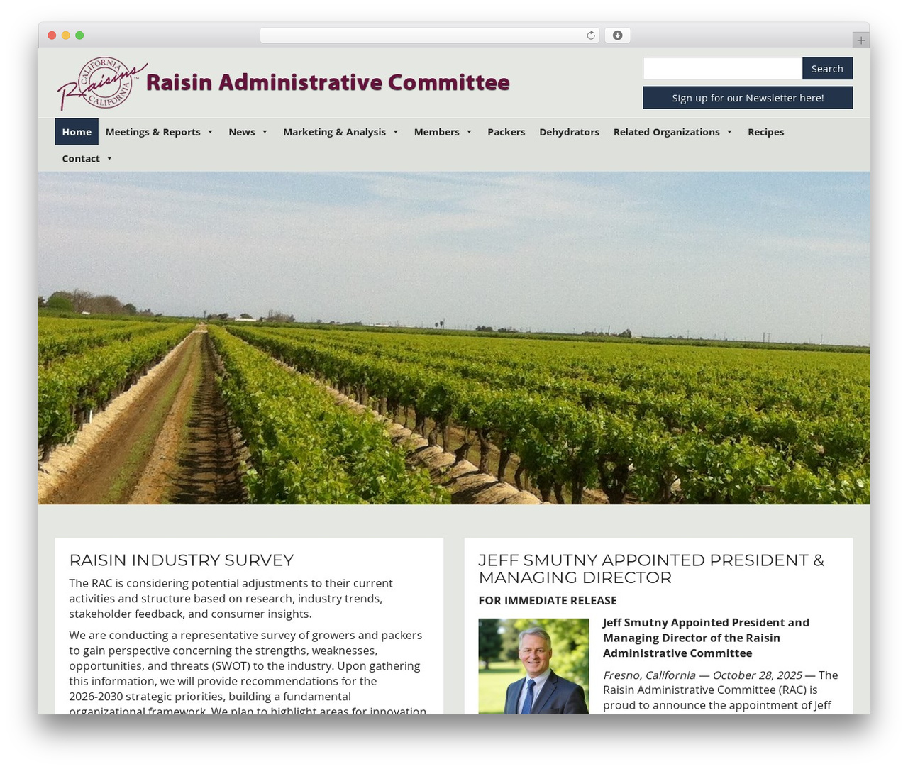Digital Attic WP theme - raisins.org