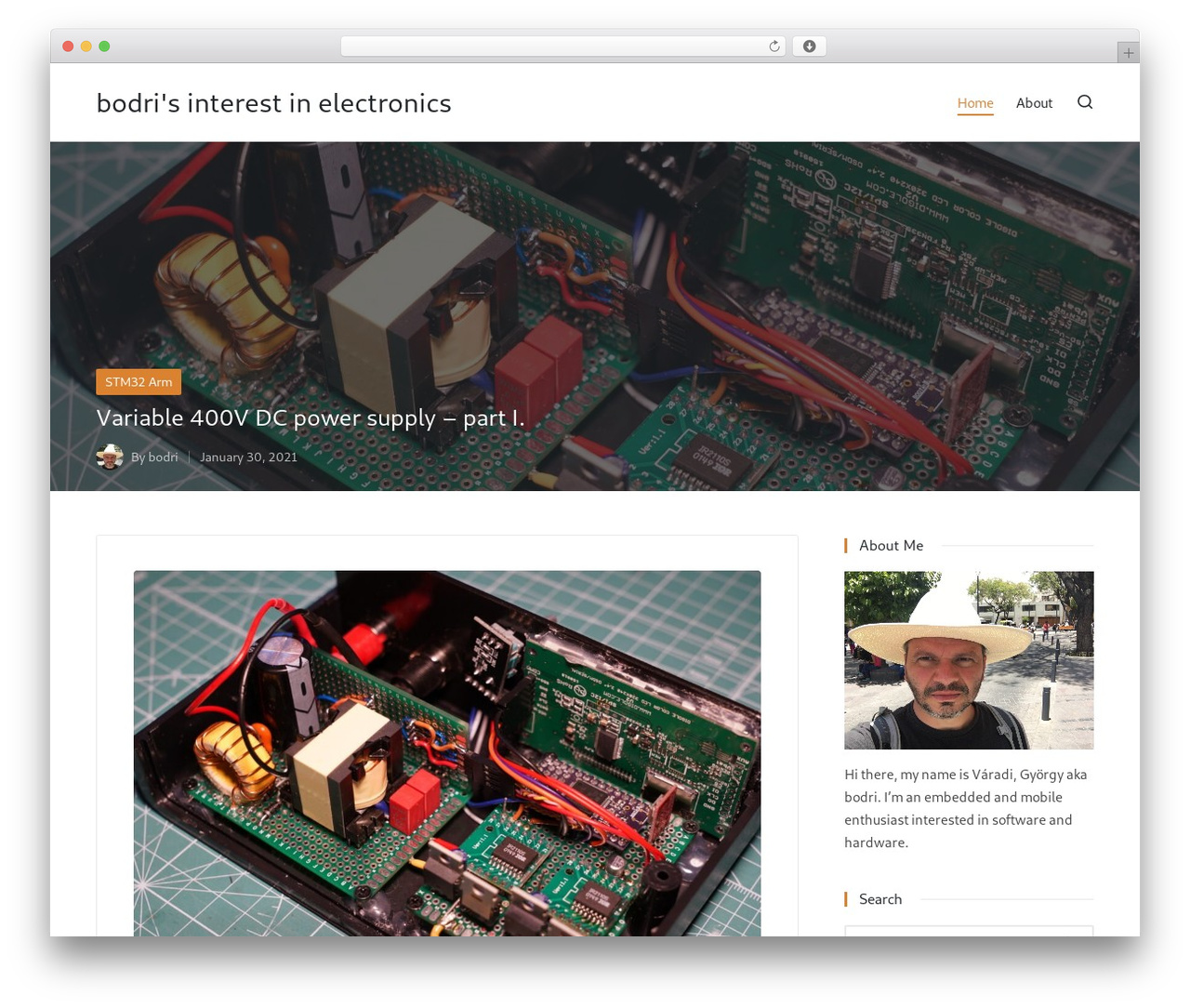 Sinatra WordPress theme design - bodrico.com