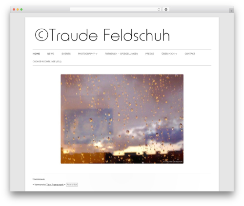 Tiny Framework free website theme - coexist.at