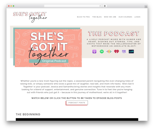 Little homepage blocks WordPress plugin - shesgotittogether.com