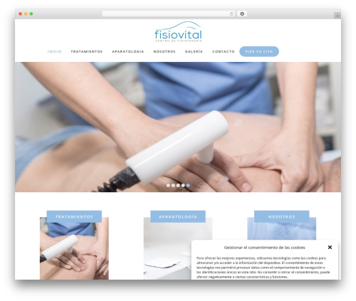 Care WordPress theme - fisioterapiafisiovital.com