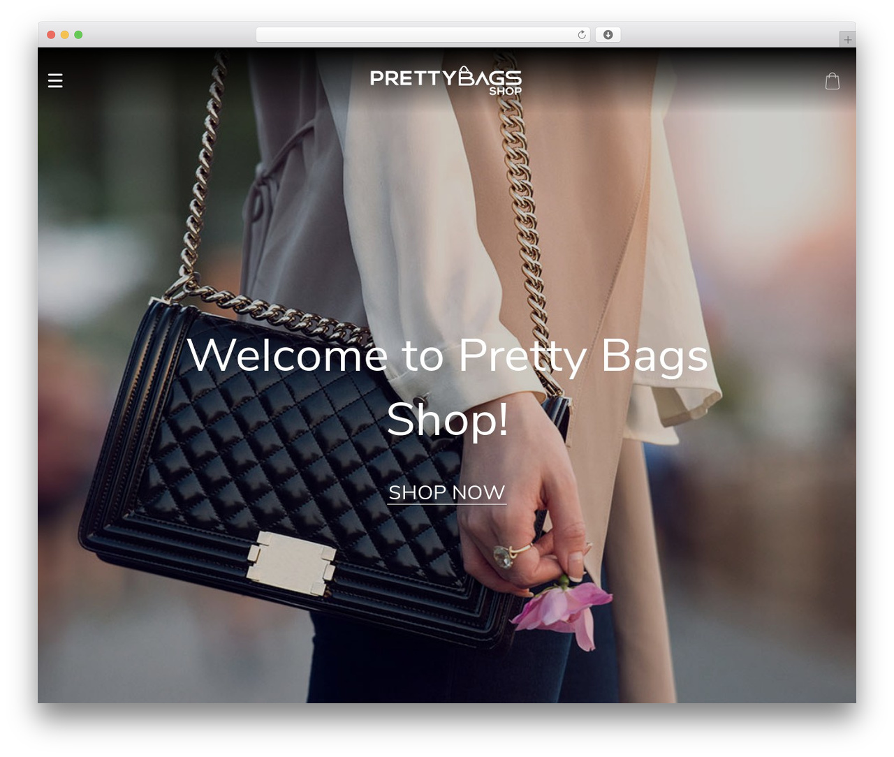 Dali WordPress page theme - prettybagsshop.com