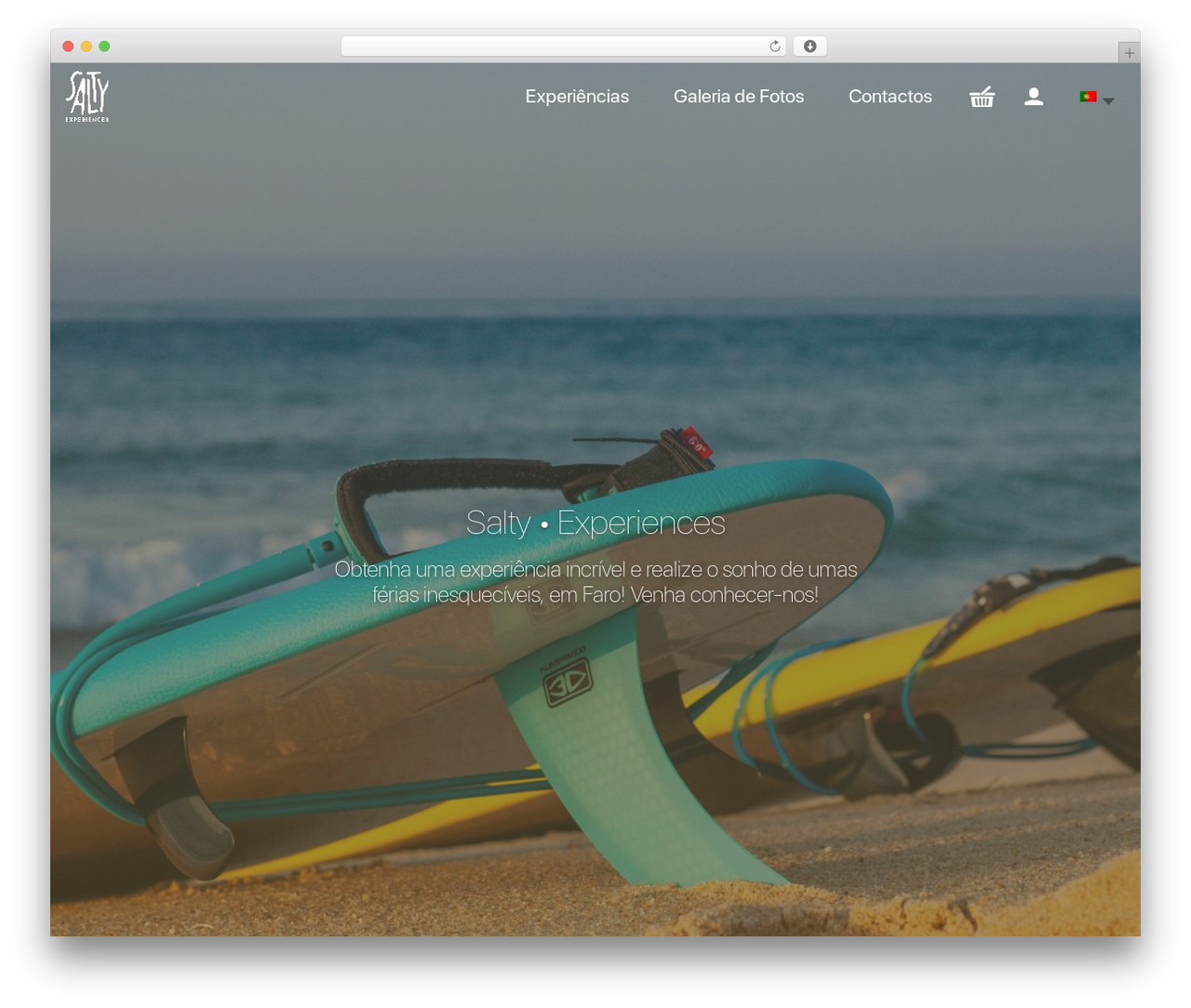 FOE Wordpress theme premium WordPress theme - saltyexperiences.com
