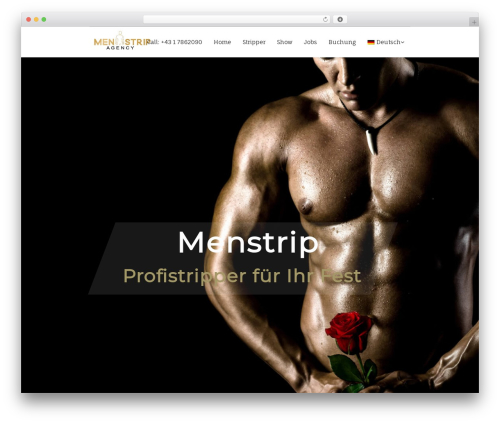 Modellic top WordPress theme - menstrip.eu