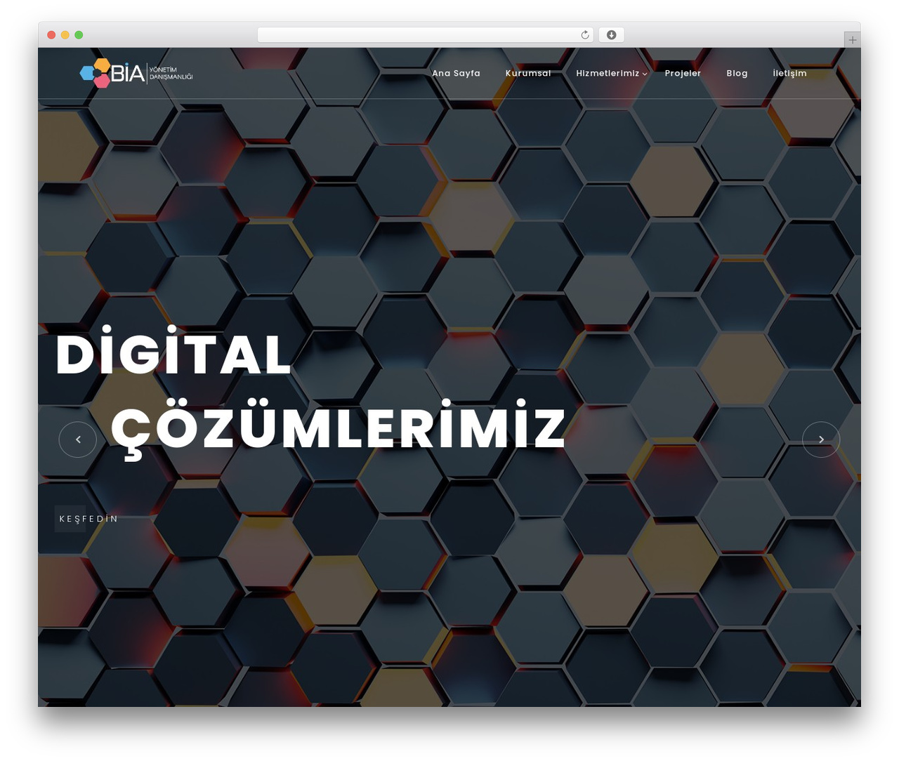 Avo WordPress theme - biayonetim.com