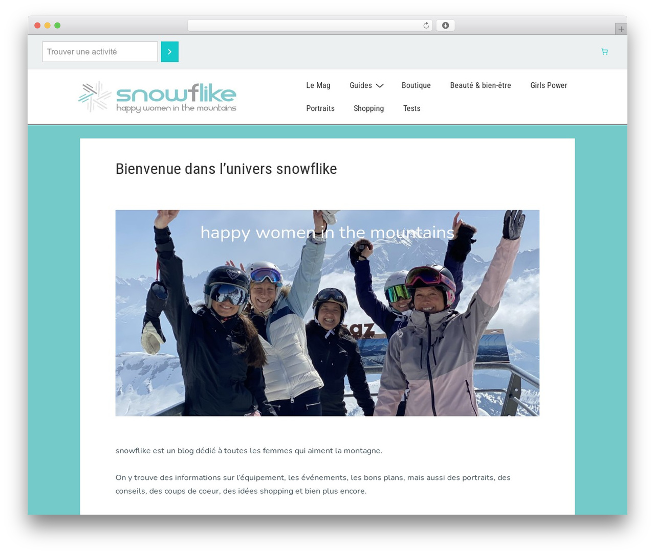 Best WordPress theme Responsive - snowflike.com