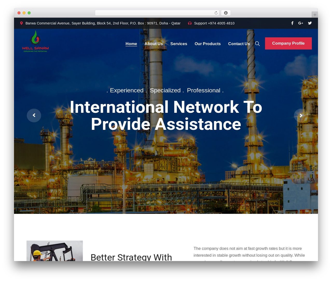 Fionca WordPress theme - wellsanam.com