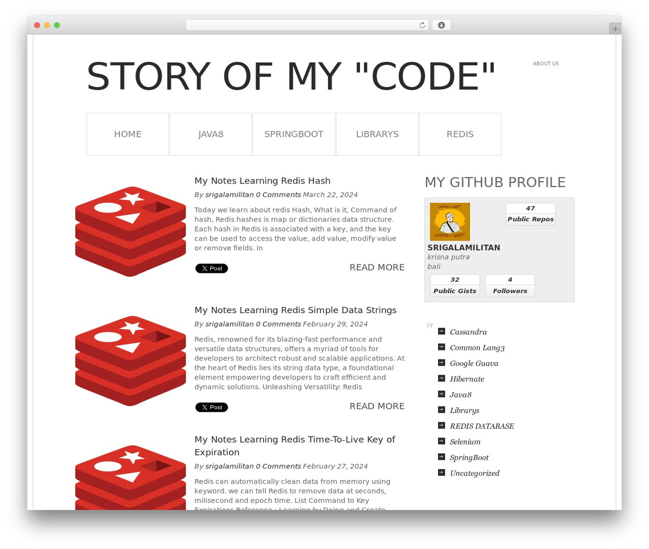 Simple WordPress theme - putracode.com