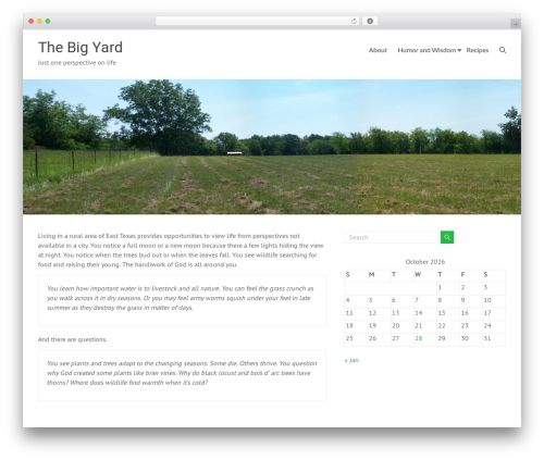 HTML Forms (html-forms) free WordPress plugin - thebigyard.com