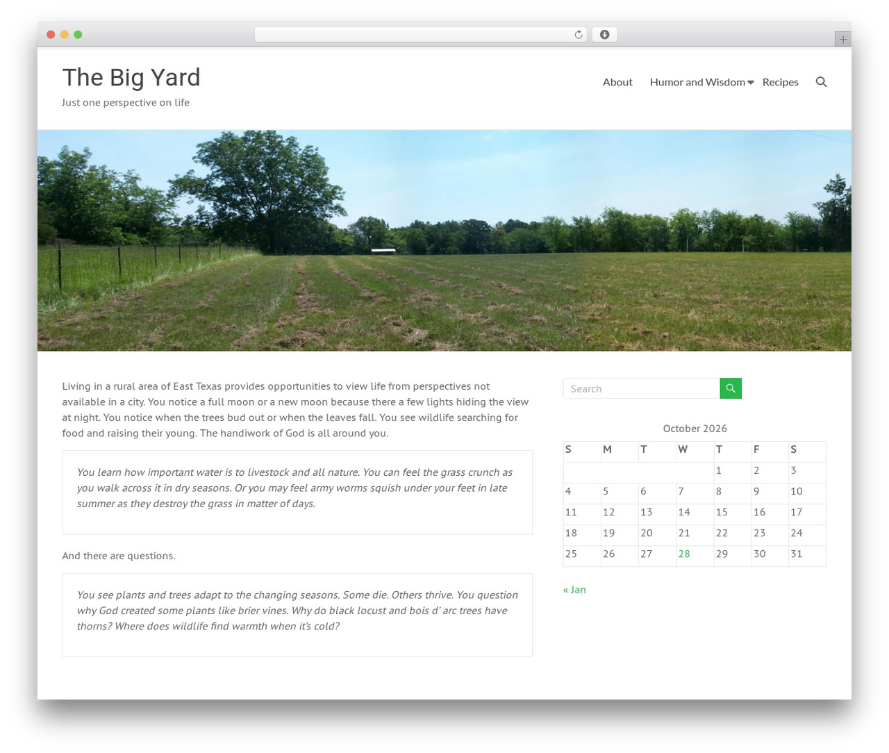 Spacious free WordPress theme - thebigyard.com