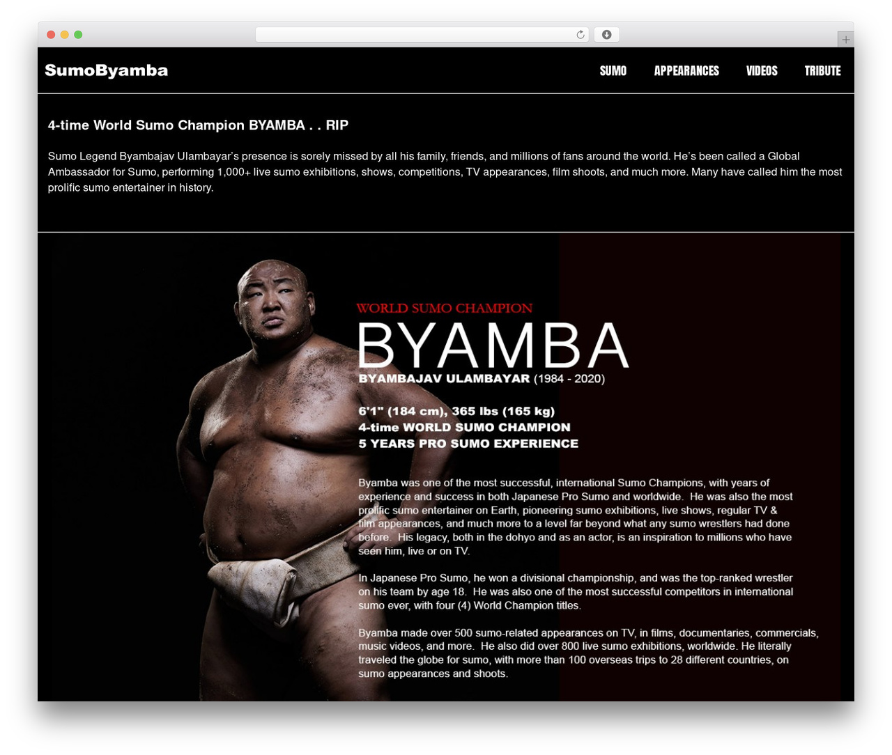 Theme WordPress GeneratePress - sumobyamba.com Theme WordPress GeneratePress - sumobyamba.com
