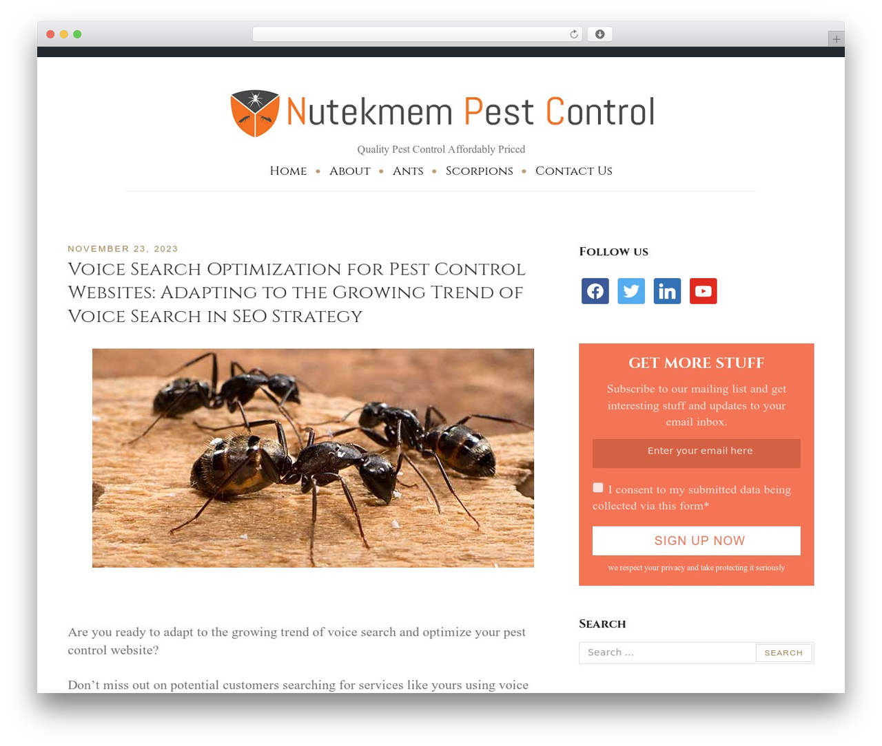 WordPress theme Equable Lite - nutekmem.com