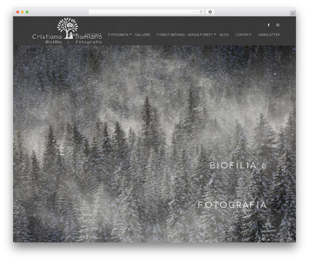 Blacksilver WordPress theme - cristianadamiano.com